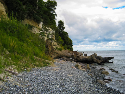Kreidek&uuml;ste auf der Halbinsel Jasmund 