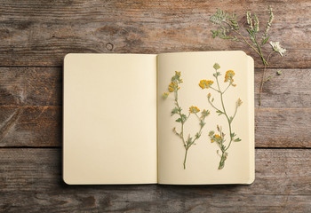 Wild dried meadow flowers in notebook on wooden background, top view