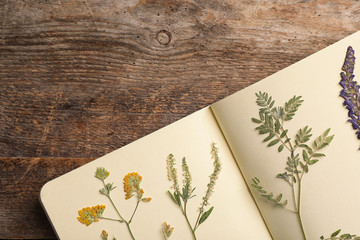 Wild dried meadow flowers in notebook on wooden background, top view