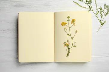 Papier Peint photo Printemps Wild dried meadow flowers in notebook on wooden background, top view