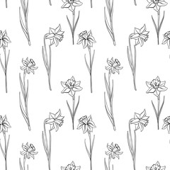 vector seamless pattern with narcissus - obrazy, fototapety, plakaty