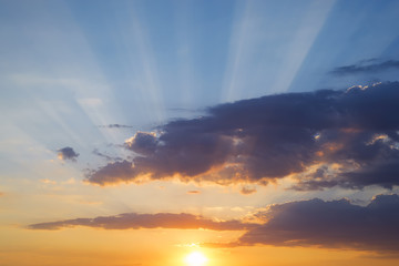 The beautiful sunset over the trees and sky gold sunset with natural sunlight