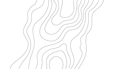 The stylized height of the topographic contour in lines and contours. The concept of a conditional geography scheme and the terrain path. Vector illustration.