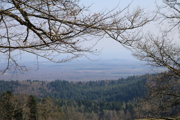 Point de vue Nature