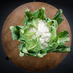 High angle view of cauliflower on dark background