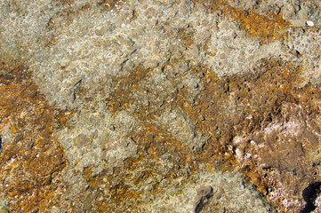 Surface of sea stone, structure, texture. Background