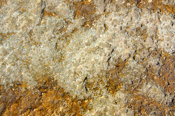 Surface of sea stone, structure, texture. Background