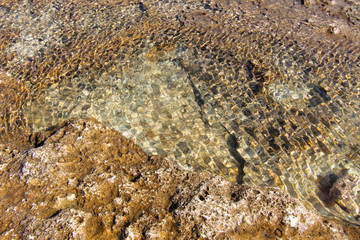 Surface of sea stone, structure, texture. Background