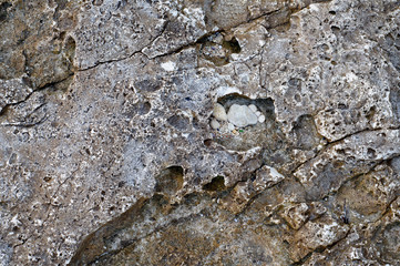 Surface of sea stone, structure, texture. Background