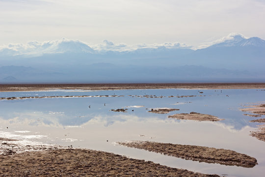 Desert landscape with snow peaks mountains of San Pedro de Atacama, Chile, South America. Colorful panoramic landscape with reflection in lagoon after the rain.