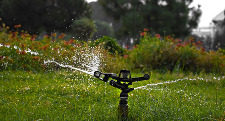Fototapeta premium water sprinkler spraying water in garden