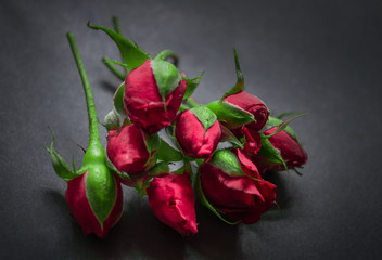 a bunch of red roses buds