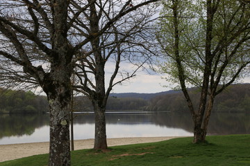 Lac en foret