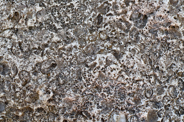 Surface of sea stone, structure, texture. Background