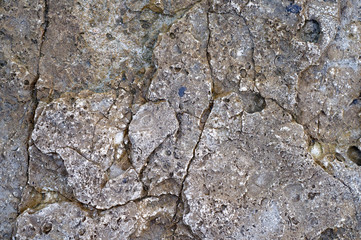 Surface of sea stone, structure, texture. Background