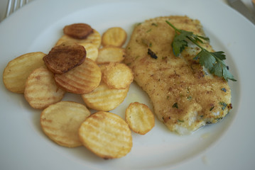 Baked fish filet with potatoes