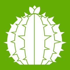 Lophophora cactus icon white isolated on green background. Vector illustration
