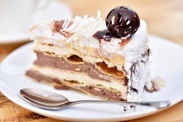 Cake on a plate. Sweet dish. A piece of baking.