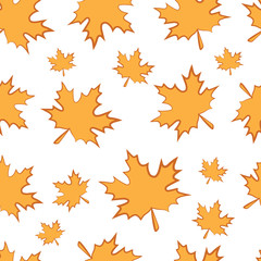Pattern, Falling fall maple leaf.Autumn pattern