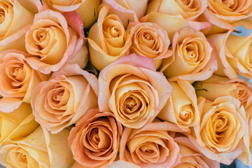 Yellow orange roses picked fresh for sale at outdoor market in natural light