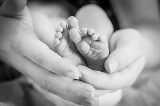 Tiny feet of a newborn baby girl in her mothers arms. One week year old infant baby. First days of her life image. Maternity and motherhood concept image.  Black and white photo.