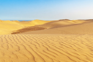 Fototapeta na wymiar Maspalomas sand dunes