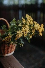 Bouquet of yellow autumn forest flowers tansy in a wicker basket on a background of trees and a wooden rural fence