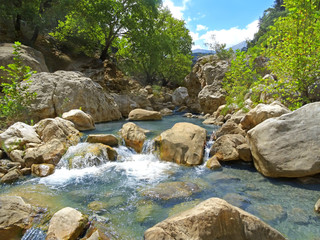 Mountain stream with clear water.