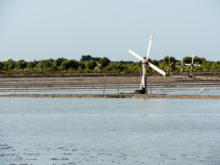 Sea Salt Traditional Farm in Indonesia