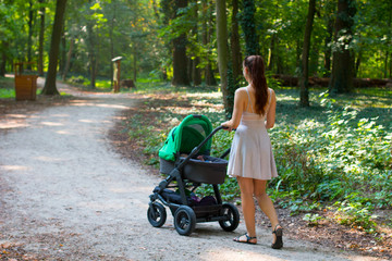 Fototapeta na wymiar Pram walking back view, rear back view of attractive woman in stylish summer dress walking with her baby pram on the walkway in the park, mother with her newborn outside, natural landscape around
