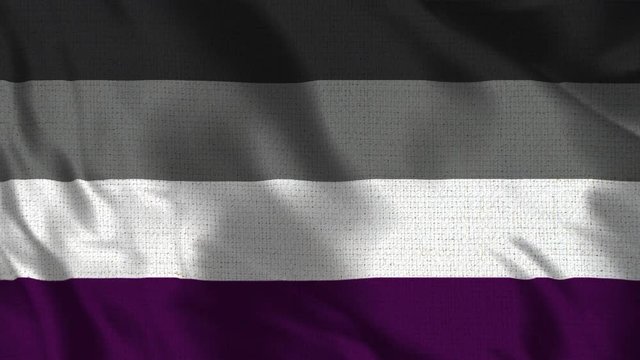 Asexual Flag Loop - Realistic 4K - 60 fps flag waving in the wind. Seamless loop with highly detailed fabric texture. Loop ready in 4K resolution