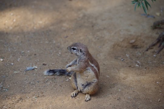 Zoo Prag
