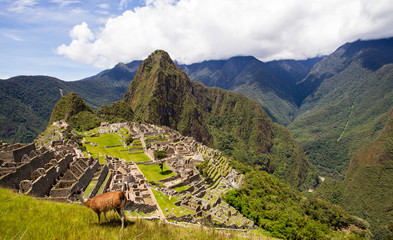 Machu Picchu 