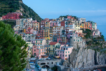 Fototapeta na wymiar Mandorla Cinque Terre