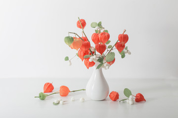 red physalis on wooden table