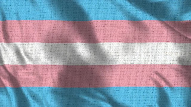 Transexual Flag - Realistic 4K - 60 fps flag waving in the wind. Seamless loop with highly detailed fabric texture. Loop ready in 4K resolution