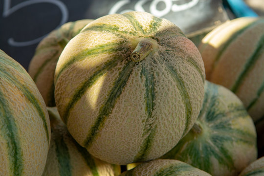 Melons from Cavaillon, ripe round charentais honey cantaloupe melons on local market in Provence, France