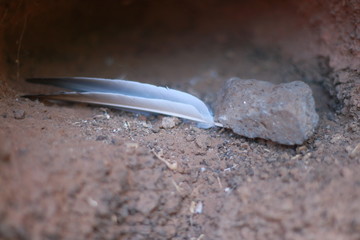A feather and a stone in a hole