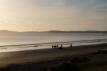 Morning at the beach