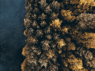 Top down drone view over autumnal forest