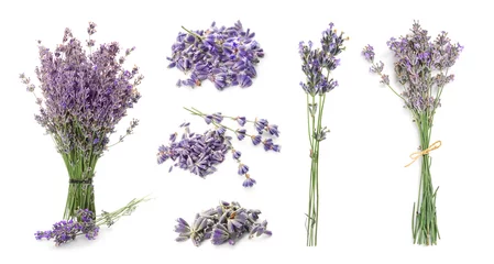 Crédence en verre imprimé Lavande Set with aromatic fresh lavender on white background