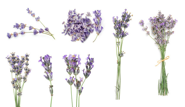 Fototapeta Set with aromatic fresh lavender on white background