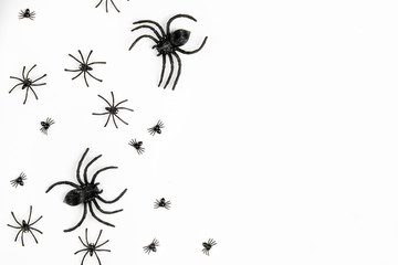 Halloween background with  spiders. Flat lay, top view trendy holiday concept..