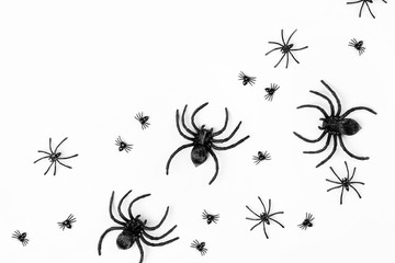 Fototapeta na wymiar Halloween background with spiders. Flat lay, top view trendy holiday concept..
