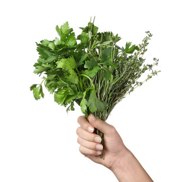 Woman holding bunch of fresh herbs on on white background