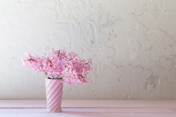 pink hyacinths in vase on white background