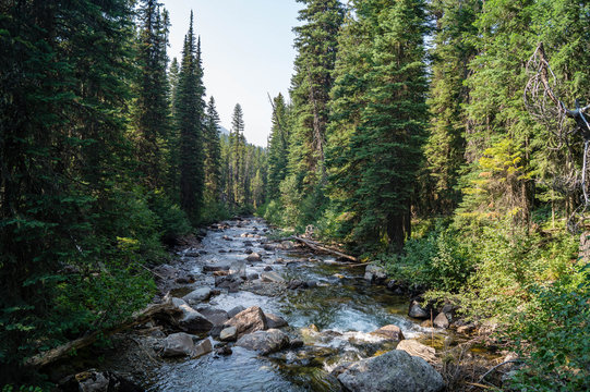 Lostine River at the Eagle Cap Wilderness of Wallowa-Whitman National Forest
