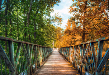 Fototapeta premium summer-autumn