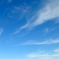 Light clouds in the blue sky.