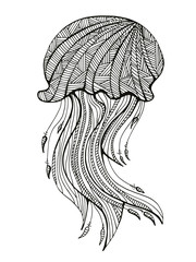 Hand drawn jellyfish for adult Coloring Page in zentangle style. Uncolored stylized jellyfish illustration with high details isolated on white background vector